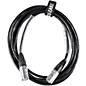 Clearance American DJ CAT6PRO Cabinet to Cabinet Ethercon Cable 5 ft. thumbnail