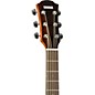 Yamaha A-Series AC1M Cutaway Concert Acoustic-Electric Guitar Tobacco Sunburst