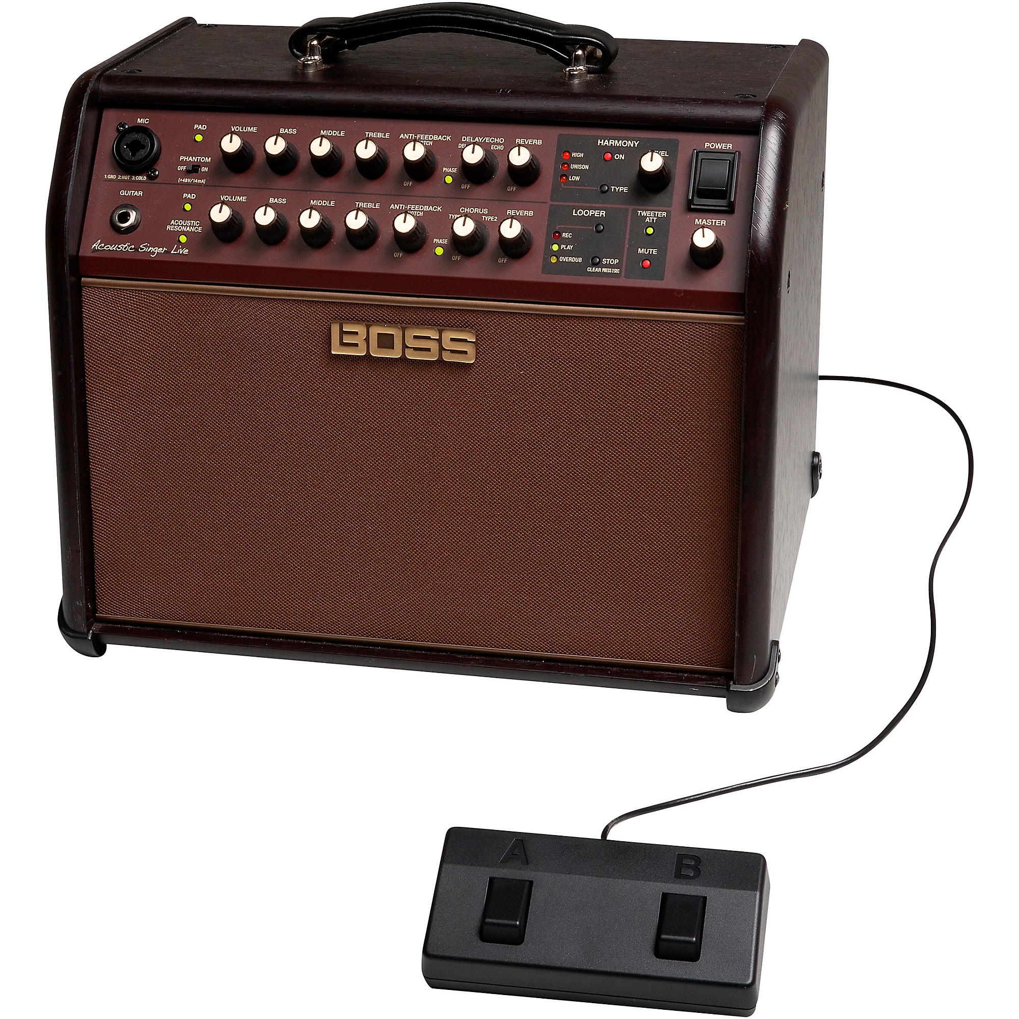 BOSS Acoustic Singer Live LT 60W Bi-Amp Acoustic Guitar Amplifier with  Analog Input and 3-Band EQ - BossACS-LIVELT