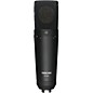 TASCAM TM-180 Large-Diaphragm Condenser Microphone thumbnail
