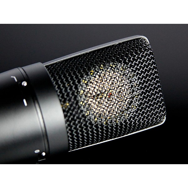 TASCAM TM-180 Large-Diaphragm Condenser Microphone