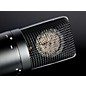 TASCAM TM-180 Large-Diaphragm Condenser Microphone