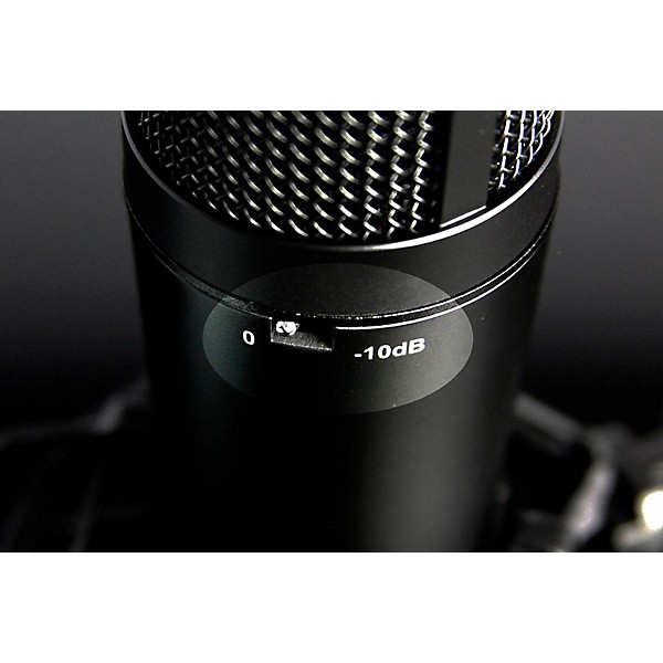 TASCAM TM-180 Large-Diaphragm Condenser Microphone