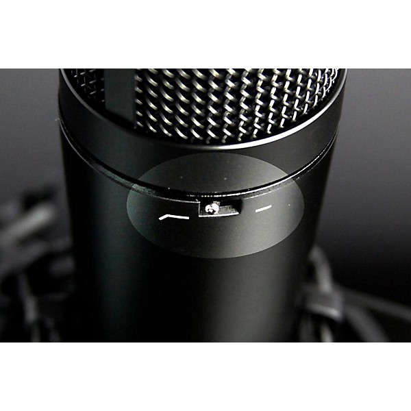 TASCAM TM-180 Large-Diaphragm Condenser Microphone