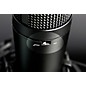 TASCAM TM-180 Large-Diaphragm Condenser Microphone