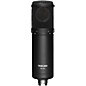 TASCAM TM-280 Large-Diaphragm Condenser Microphone thumbnail