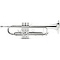 Open Box Allora ATR-580 Chicago Series Professional Bb Trumpet Level 2 Silver plated 194744709760 thumbnail
