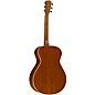 Breedlove Frontier Concerto E Mahogany - Mahogany Gloss Natural