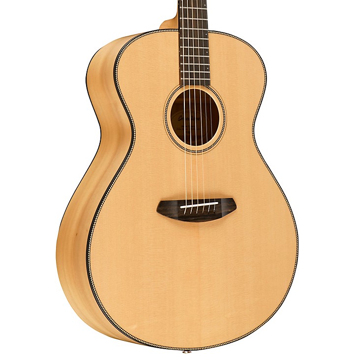 breedlove oregon concert e