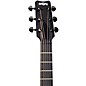 RainSong Concert Hybrid Series CH-OM Acoustic-Electric Guitar with L.R. Baggs Stagepro Element Electronics Pinstripe Rosette