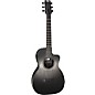 RainSong Concert Hybrid Series Parlor With LR Baggs Element Electronics Acoustic-Electric Guitar Natural