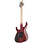 Caparison Guitars TAT Special FM Electric Guitar Transparent Black Berry