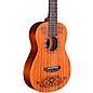 Open Box Disney/Pixar Coco x Cordoba Mini Mahogany Acoustic Guitar Level 1 Natural thumbnail