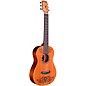 Open Box Disney/Pixar Coco x Cordoba Mini Mahogany Acoustic Guitar Level 1 Natural