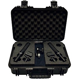 AEA Microphones AEA N8 NUVO STEREO MIC KIT