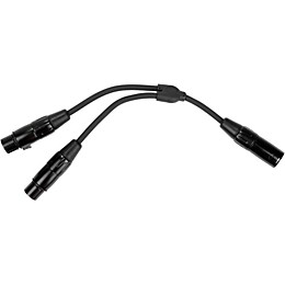 Open Box Pig Hog Solutions - 6" Y Cable, XLR(M)-Dual XLR(F) Level 1