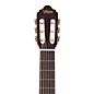 Valencia 200 Series Full Size Classical Acoustic Guitar Transparent Wine Red