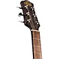 Open Box Laurel Canyon LA-100CESB Acoustic-Electric Guitar Level 2 Transparent Black Sunburst 190839801203