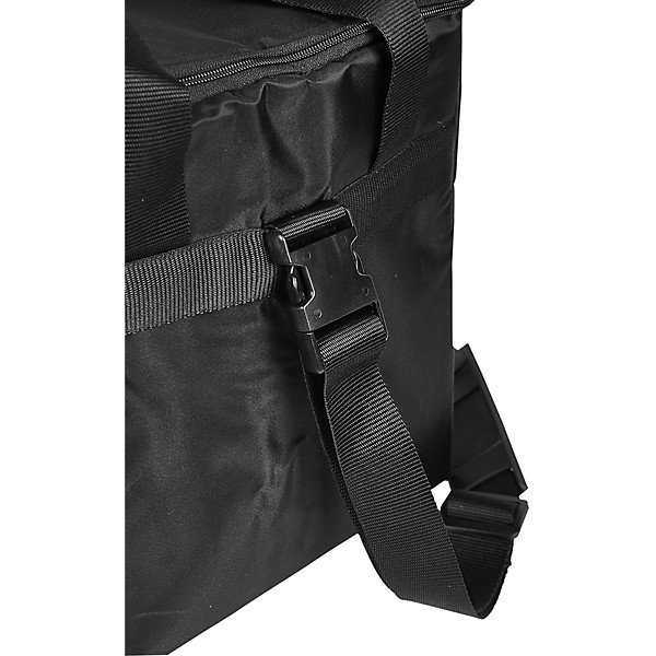 Acus Sound Engineering One for Strings 5 Acoustic Combo Amp Travel Bag