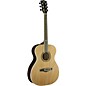EKO NXT Series Auditorium Acoustic Guitar Natural