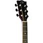 Open Box EKO NXT Series Auditorium Acoustic Guitar Level 2 Black 190839305688