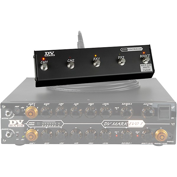 Open Box DV Mark | Guitar Center