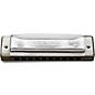 Hering Harmonicas 2020 Diatonic Blues Harmonica E