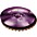 Paiste Colorsound 900 Sound Edge Hi Hat Cymbal Purple 14 ... Paiste Colorsound 900 Sound Edge Hi Hat Cymbal Purple 14 in. Top