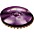 Paiste Colorsound 900 Sound Edge Hi Hat Cymbal Purple ... Paiste Colorsound 900 Sound Edge Hi Hat Cymbal Purple 14 in. Bottom