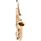 Open Box Etude EAS-200 Student Series Alto Saxophone Level 2 Lacquer 197881083748