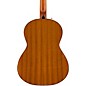 Fender CN-60S Nylon String Acoustic Guitar Natural