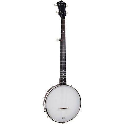 Recording King Dirty 30S Open-Back Tone Ring Banjo for sale