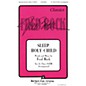 Fred Bock Music Sleep Holy Child (SATB with Children's Choir) SATB composed by Fred Bock thumbnail