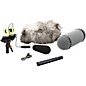 DPA Microphones d:dicate 4017C Compact Shotgun Microphone with Ryocote Windshield thumbnail