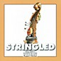 De Haske Music Stringled Concert Band thumbnail