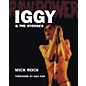 Omnibus Raw Power - Iggy & the Stooges Omnibus Press Series Softcover thumbnail