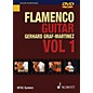 Schott Flamenco Guitar Vol. 1 Schott Series DVD Written by Gerhard Graf-Martinez thumbnail