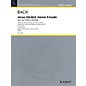 Schott Music Jesu, Joy of Man's Desiring (String Trio Score and Parts) Schott Series Composed by Johann Sebastian Bach thumbnail
