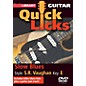 Licklibrary Slow Blues - Quick Licks (Style: Stevie Ray Vaughan; Key: E) Lick Library Series DVD by Jamie Humphries thumbnail