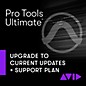 Avid Pro Tools Ultimate 1-Year Software Updates and Support, Reinstatement of Perpetual Licenses, One-Time Payment thumbnail