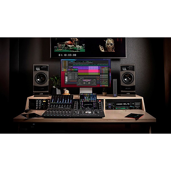 Avid Pro Tools Ultimate 1-Year Software Updates and Support, Renewal of Perpetual Licenses, One-Time Payment