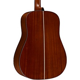 Martin DSTG Dreadnought Acoustic Guitar All-Gloss Natural