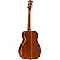 Open Box Fender PM-TE Standard Travel Acoustic-Electric Guitar Level 2 Natural 190839558220