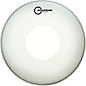Aquarian Focus-X Coated With Power Dot Tom Head 10 in. thumbnail