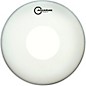 Aquarian Focus-X Coated With Power Dot Tom Head 15 in. thumbnail