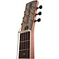 Open Box Gretsch Guitars G9212 Honey Dipper Special Square Neck Resonator Guitar Level 1 Cactus Flower