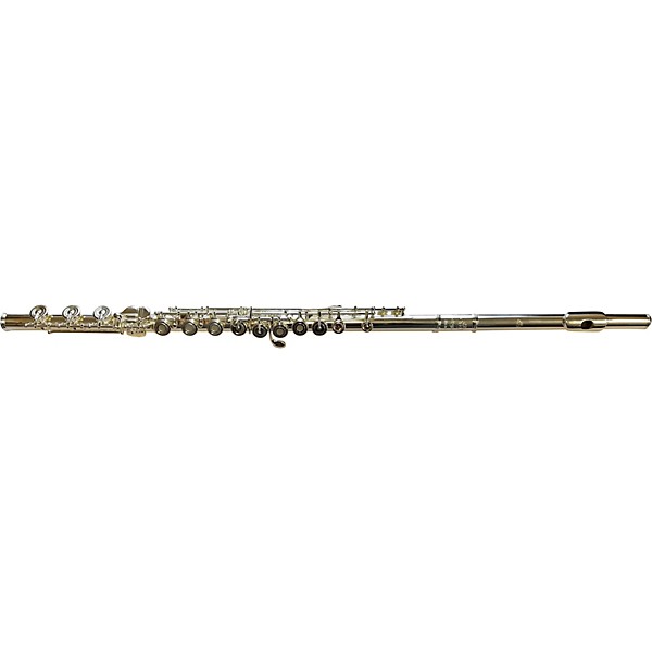 Open Box Di Zhao DZ 700 Professional Flute Level 2 Offset G, B-Foot 190839619013