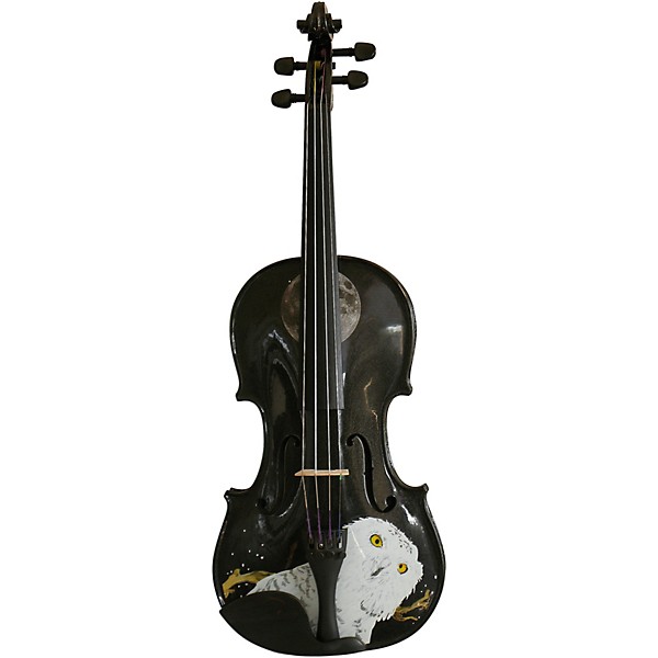 Rozanna's Violins Mystic Owl Black Glitter Series Violin Outfit 4/4