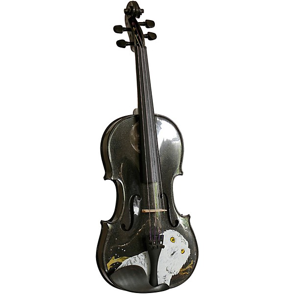 Rozanna's Violins Mystic Owl Black Glitter Series Violin Outfit 3/4