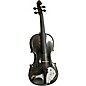 Rozanna's Violins Mystic Owl Black Glitter Series Violin Outfit 3/4